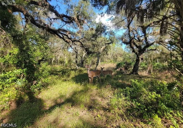 4th image of 1 Catamount Rd, Labelle, FL 33975 | MLS# 2026003323