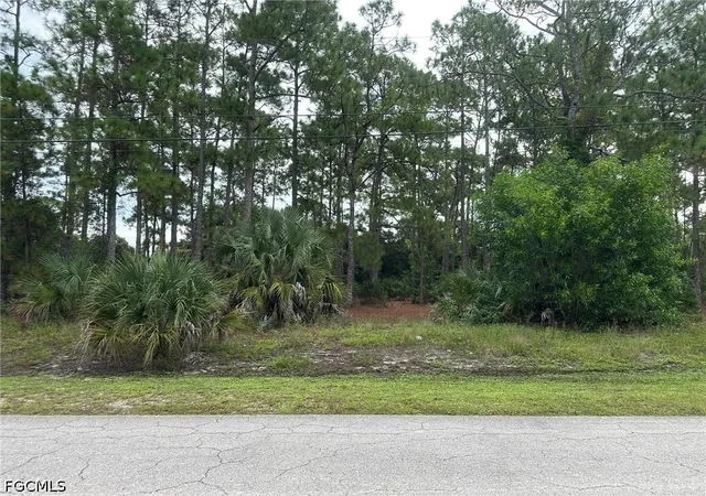 Photo 1 of Land for sale at 502 Canton Ave, Lehigh Acres, FL 33972 | MLS# 2026003418 | Listing updated on 2026-10-04