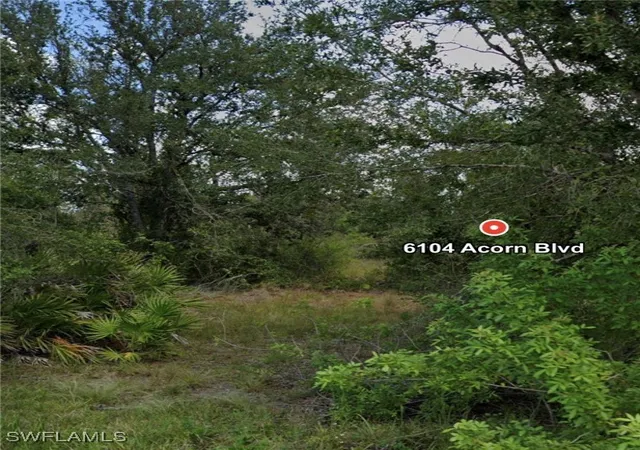 Photo 3 of Land for sale at 6104 Acorn Blvd, Punta Gorda, FL 33982 | MLS# 226002343 | Listing updated on 2026-01-20