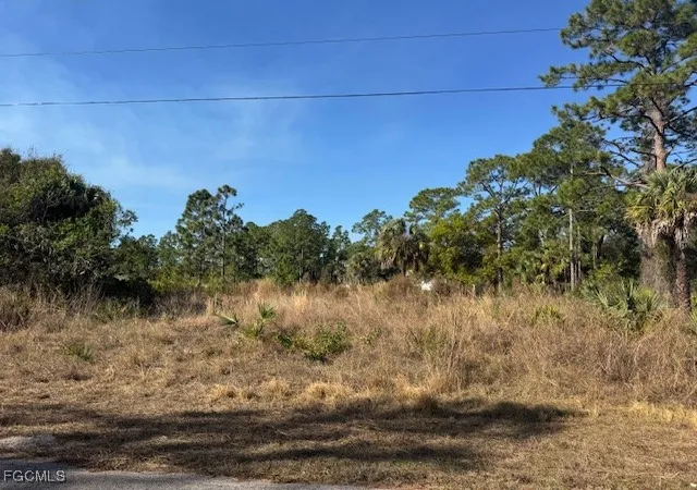 Homes for sale in Alva, FL | 2117 Moore Ave, Alva, FL 33920 | MLS# 2026003711