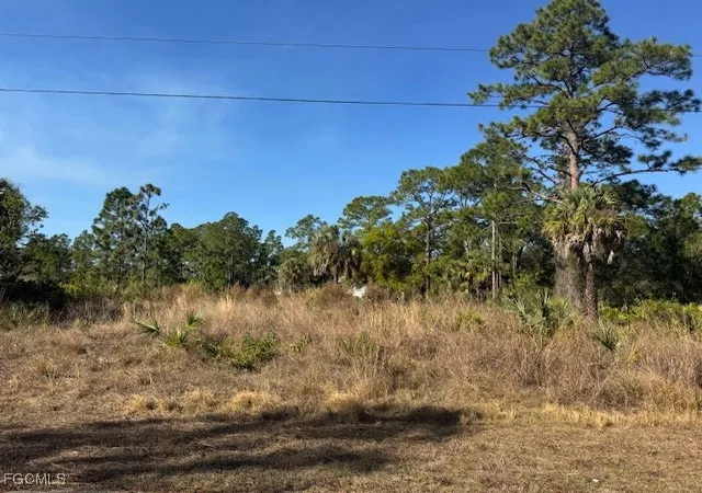 Homes for sale in Alva, FL | 2117 Moore Ave, Alva, FL 33920 | MLS# 2026003711