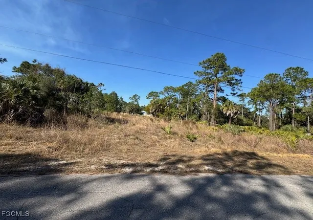 Homes for sale in Alva, FL | 2117 Moore Ave, Alva, FL 33920 | MLS# 2026003711