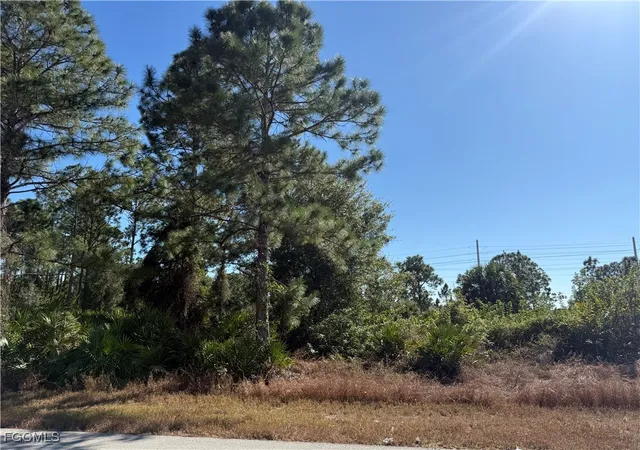 Photo 3 of Land for sale at 4303 33rd Street Sw, Lehigh Acres, FL 33976 | MLS# 2026005251 | Listing updated on 2026-07-14