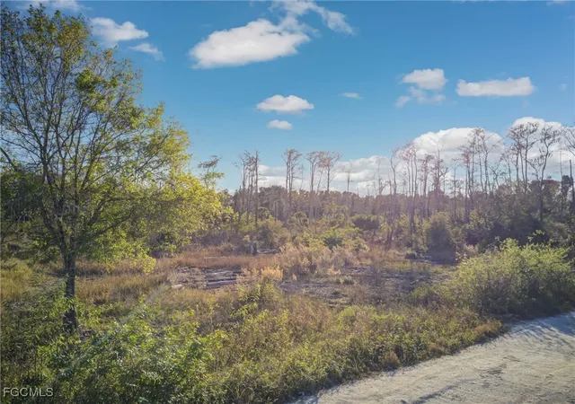 Photo 4 of Land for sale at 17440 Richard Rd, Fort Myers, FL 33913 | MLS# 2026005318 | Listing updated on 2026-07-30