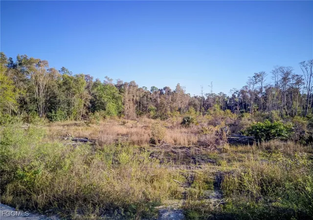 Photo 4 of Land for sale at 17380 Richard Rd, Fort Myers, FL 33913 | MLS# 2026005322 | Listing updated on 2026-07-30