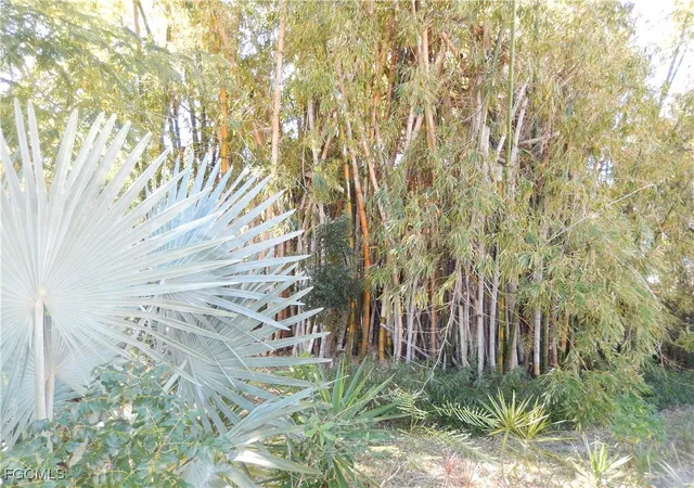 Photo 4 of Land for sale at 222 SE 46th Terrace, Cape Coral, FL 33904 | MLS# 2026005551 | Listing updated on 2026-07-08