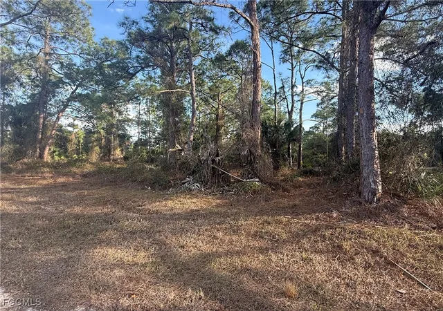 4th image of 5010 Squaw Ln, Labelle, FL 33935 | MLS# 2026005697