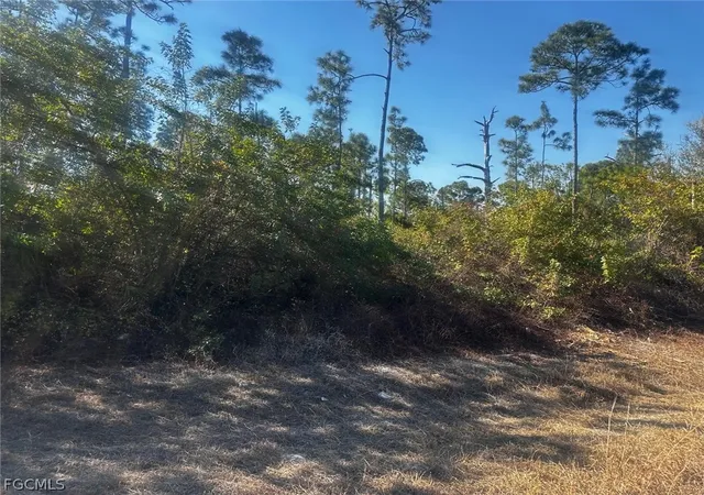 Photo 1 of Land for sale at 460 Lackey Ave S, Lehigh Acres, FL 33974 | MLS# 2026006398 | Listing updated on 2026-07-08