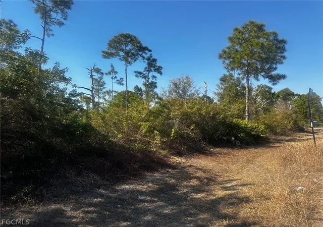 Photo 3 of Land for sale at 460 Lackey Ave S, Lehigh Acres, FL 33974 | MLS# 2026006398 | Listing updated on 2026-07-08