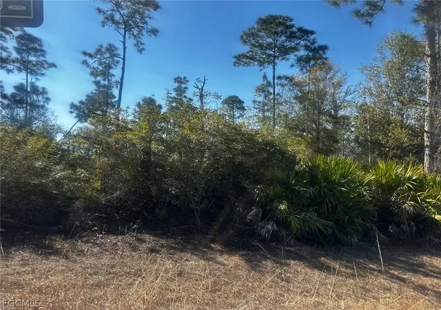 Photo 4 of Land for sale at 460 Lackey Ave S, Lehigh Acres, FL 33974 | MLS# 2026006398 | Listing updated on 2026-07-08