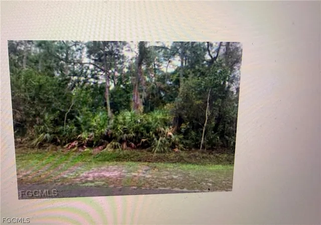 Photo 4 of Land for sale at 3585 Gasparilla St, Saint James City, FL 33956 | MLS# 2026007066 | Listing updated on 2026-05-16