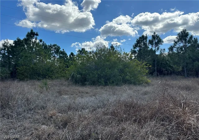 Photo 3 of Land for sale at 35xx Everglades Blvd N, Naples, FL 34120 | MLS# 226006453 | Listing updated on 2026-07-23