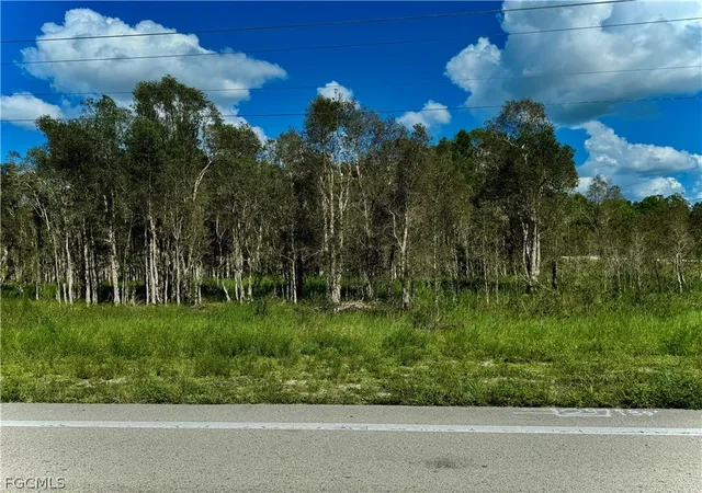 Photo 1 of Land for sale at 1005/1007 Homestead Rd S, Lehigh Acres, FL 33974 | MLS# 2026007840 | Listing updated on 2026-02-12