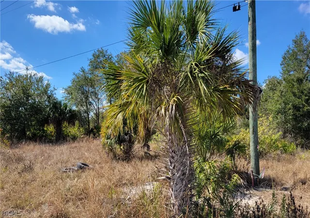 Photo 1 of Land for sale at 6001 Sunshine Blvd N, Lehigh Acres, FL 33971 | MLS# 2026008184 | Listing updated on 2026-03-16