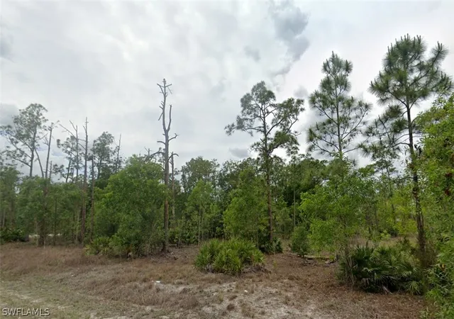Photo 1 of Land for sale at 203 Wellington Ave, Lehigh Acres, FL 33936 | MLS# 226007921 | Listing updated on 2026-09-01