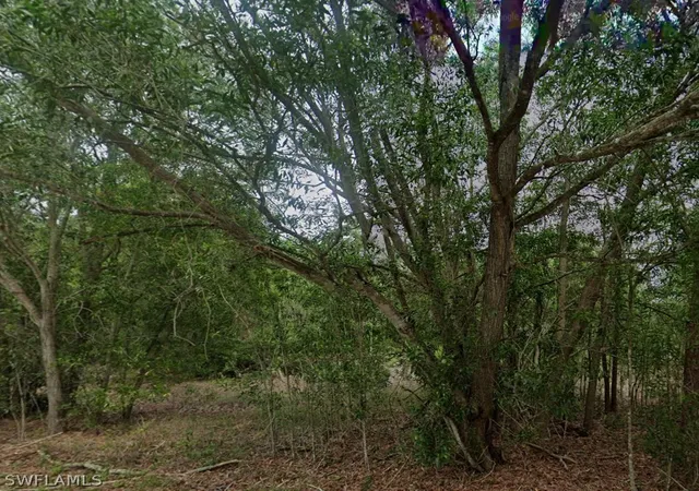 Photo 1 of Land for sale at 118 Johns Ave, Lehigh Acres, FL 33936 | MLS# 226007924 | Listing updated on 2026-09-01