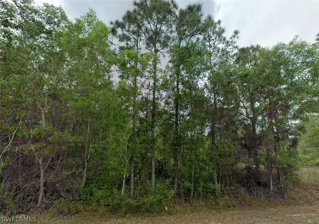 Photo 1 of Land for sale at 311 Monroe Ave, Lehigh Acres, FL 33936 | MLS# 226008135 | Listing updated on 2026-09-01