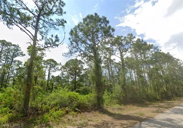 1st image of 2007 Monroe Ave, Alva, FL 33920 | MLS# 226008438