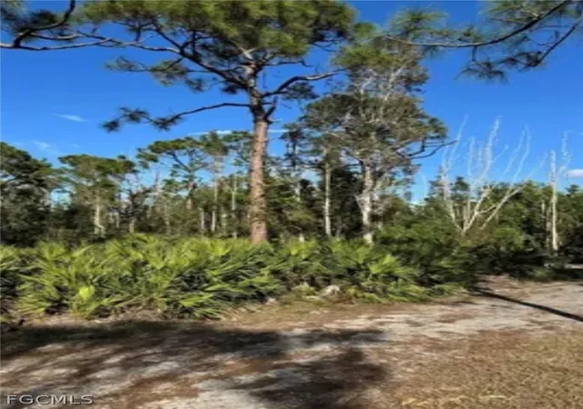 Photo 11 of Land for sale at 7000 Guava Ave, Bokeelia, FL 33922 | MLS# 2026011028 | Listing updated on 2026-06-08