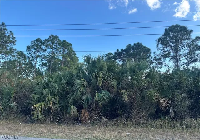 Photo 3 of Land for sale at 665 Woodcrest Dr, Lehigh Acres, FL 33972 | MLS# 2026011097 | Listing updated on 2026-09-30