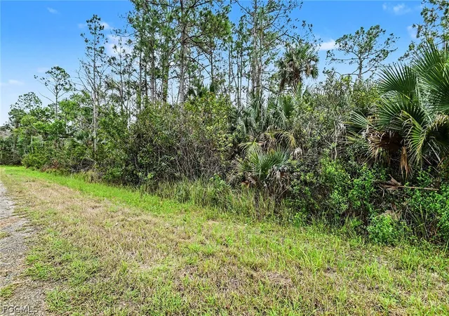 Photo 1 of Land for sale at 515 Woodman Dr, Lehigh Acres, FL 33972 | MLS# 2026011220 | Listing updated on 2026-03-18