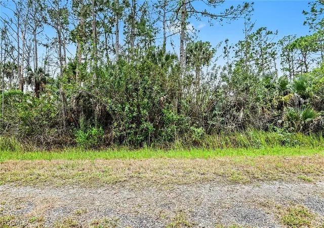 Photo 2 of Land for sale at 515 Woodman Dr, Lehigh Acres, FL 33972 | MLS# 2026011220 | Listing updated on 2026-03-18
