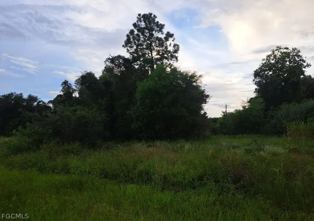 Photo 1 of Land for sale at 145 Pine Ln, Lehigh Acres, FL 33973 | MLS# 2026012305 | Listing updated on 2026-07-31