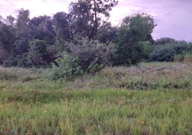 Photo 2 of Land for sale at 145 Pine Ln, Lehigh Acres, FL 33973 | MLS# 2026012305 | Listing updated on 2026-07-31