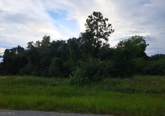 Photo 3 of Land for sale at 145 Pine Ln, Lehigh Acres, FL 33973 | MLS# 2026012305 | Listing updated on 2026-07-31
