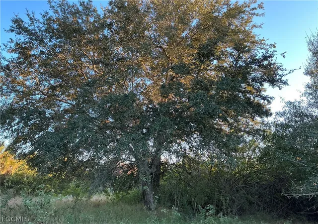 1st image of 5801 4th Rd, La Belle, FL 33935 | MLS# 2026013483
