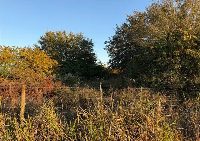 2nd image of 5801 4th Rd, La Belle, FL 33935 | MLS# 2026013483