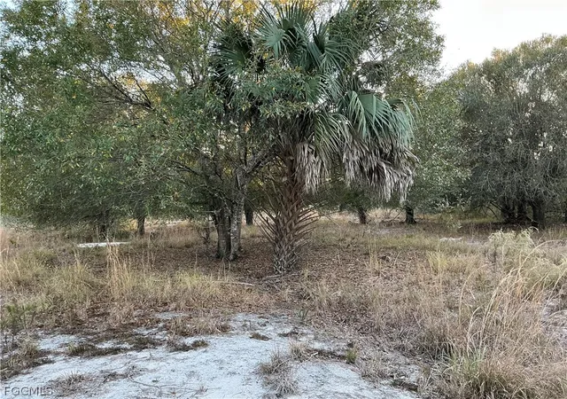 3rd image of 5801 4Th Rd, La Belle, FL 33935 | MLS# 2026013483