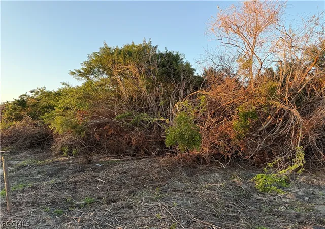 4th image of 5801 4Th Rd, La Belle, FL 33935 | MLS# 2026013483