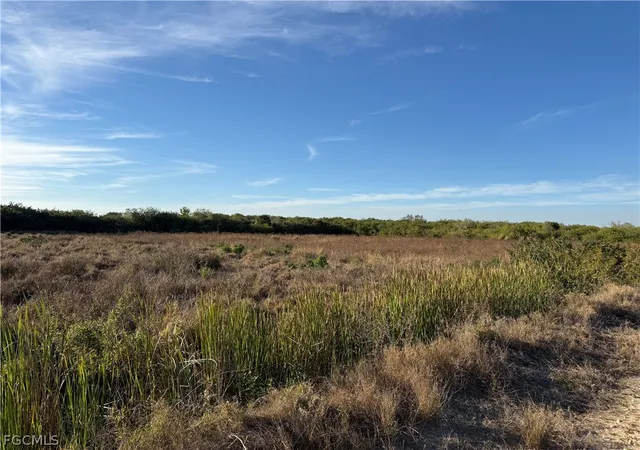 3rd image of 5500 1St Rd, Labelle, FL 33935 | MLS# 2026013710