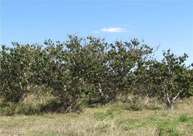 Photo 1 of Land for sale at 13171 Samadani Ln, Bokeelia, FL 33922 | MLS# 2026013859 | Listing updated on 2026-03-25