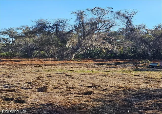Photo 2 of Land for sale at 16470 B2 Daughtreys Crk, North Fort Myers, FL 33917 | MLS# 2026015138 | Listing updated on 2026-08-31