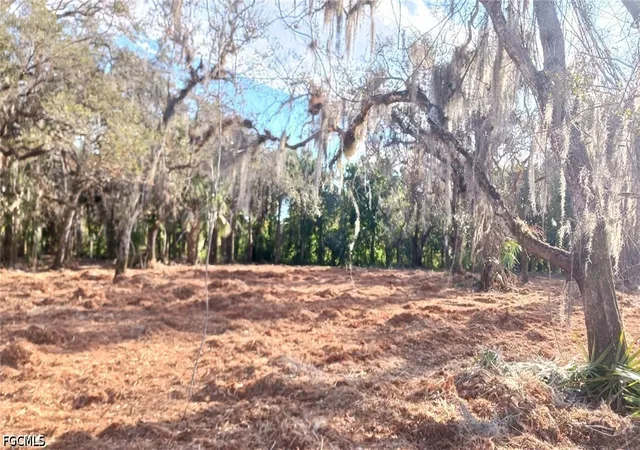 Photo 2 of Land for sale at 16470 B2 Daughtreys Crk, North Fort Myers, FL 33917 | MLS# 2026015138 | Listing updated on 2026-08-31