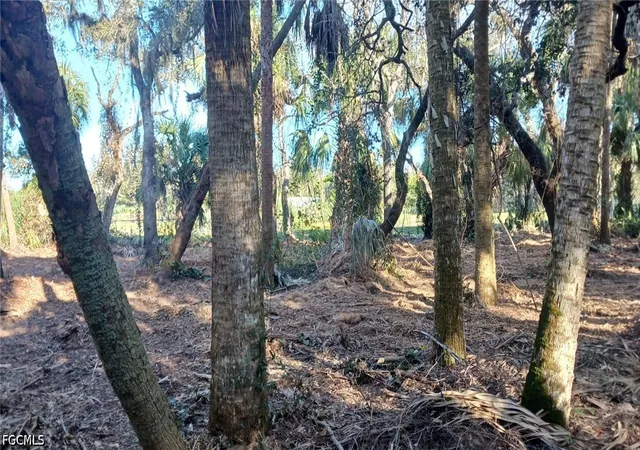 Photo 3 of Land for sale at 16470 B2 Daughtreys Crk, North Fort Myers, FL 33917 | MLS# 2026015138 | Listing updated on 2026-08-31