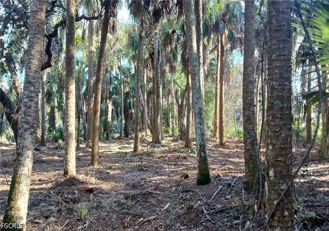 Photo 4 of Land for sale at 16470 B2 Daughtreys Crk, North Fort Myers, FL 33917 | MLS# 2026015138 | Listing updated on 2026-08-31