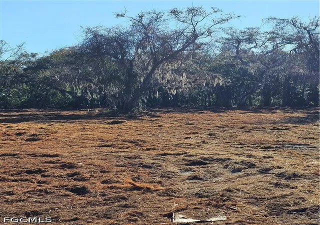 Photo 6 of Land for sale at 16470 B2 Daughtreys Crk, North Fort Myers, FL 33917 | MLS# 2026015138 | Listing updated on 2026-08-31