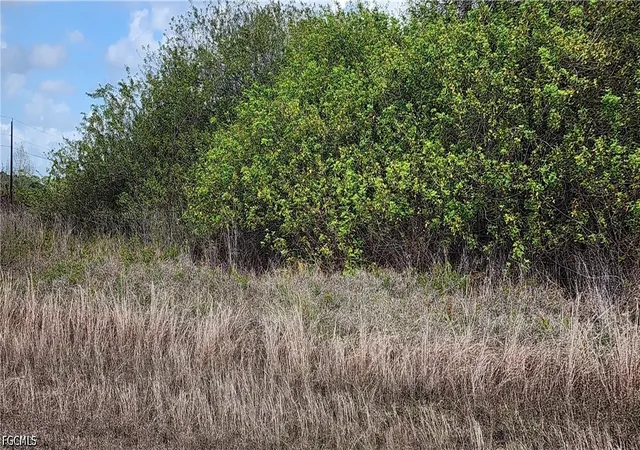 Photo 3 of Land for sale at 357 Neighborly Rd, La Belle, FL 33935 | MLS# 2026015255 | Listing updated on 2026-04-06