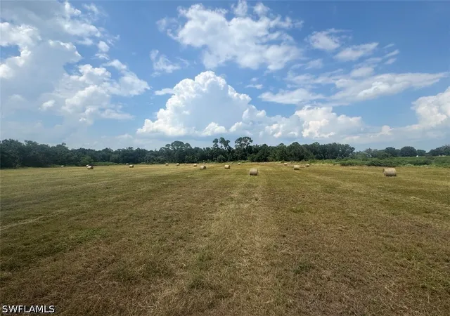 Photo 2 of Land for sale at (Undisclosed), Wauchula, FL 33873 | MLS# 226014260 | Listing updated on 2026-04-13