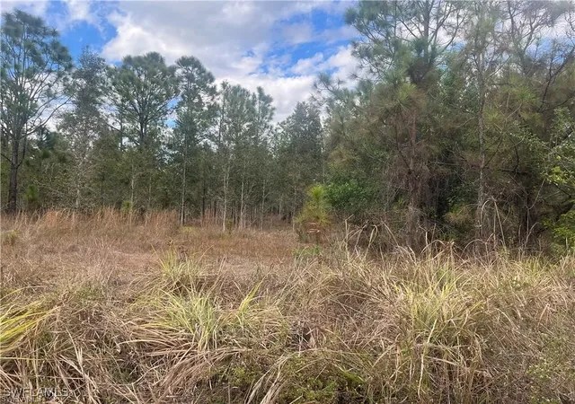 Photo 3 of Land for sale at 4481 68th Avenue Ne, Naples, FL 34120 | MLS# 226001944 | Listing updated on 2026-04-12
