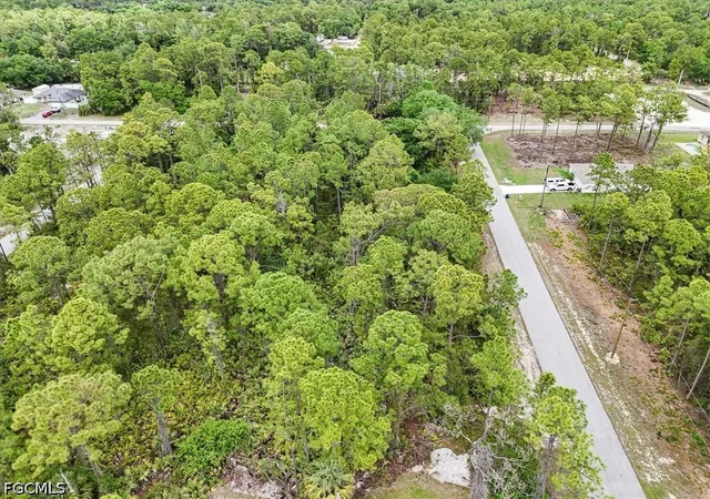 Homes for sale in Alva, FL | 2117 Grayson Ave, Alva, FL 33920 | MLS# 2026016367