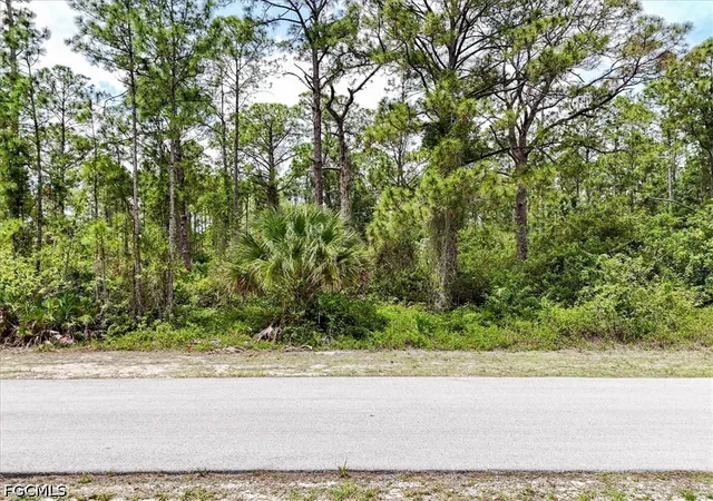 Homes for sale in Alva, FL | 2117 Grayson Ave, Alva, FL 33920 | MLS# 2026016367
