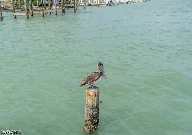 37th image of 10 Tampa Pl #502, Marco Island, FL 34145 | MLS# 226015506