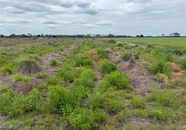2nd image of 7156 6th Rd Rd, La Belle, FL 33935 | MLS# 2026018486