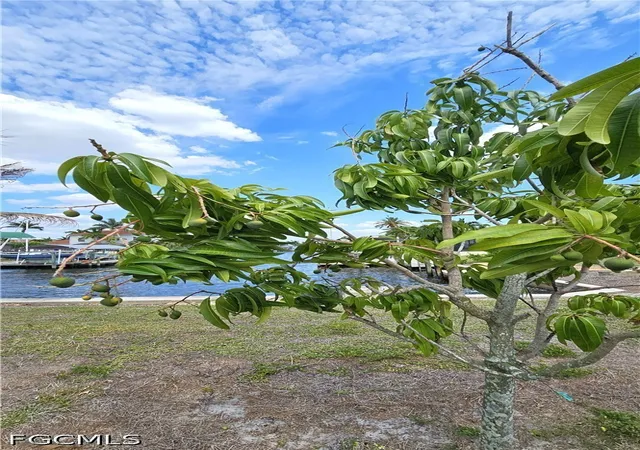 3rd image of 111 Sw 58Th Ter, Cape Coral, FL 33914 | MLS# 2026018816