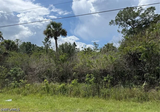 Photo 2 of Land for sale at 4260 22nd Avenue Se, Naples, FL 34117 | MLS# 226016916 | Listing updated on 2026-07-12