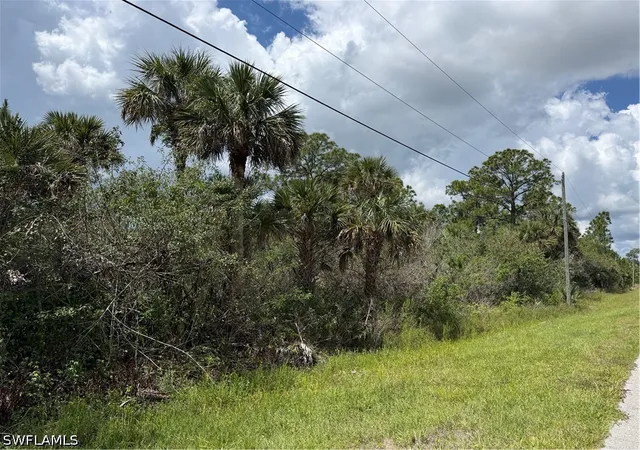 Photo 4 of Land for sale at 4260 22nd Avenue SE, Naples, FL 34117 | MLS# 226016916 | Listing updated on 2026-07-12